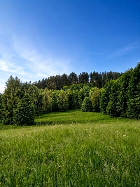 Działka rolna Miłków
