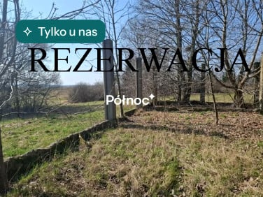 Działka Suraż