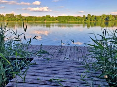 Działka Wincentowo