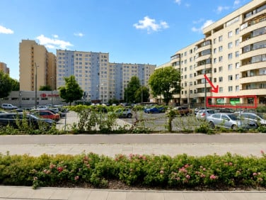 Lokal Warszawa