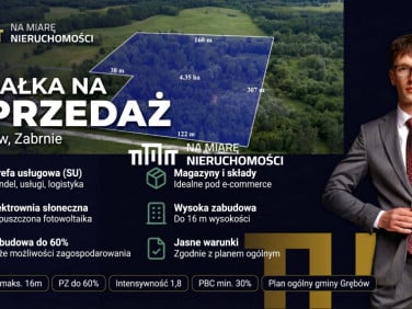 Działka usługowa Zabrnie Górne