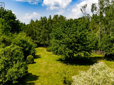 Działka Mikołów