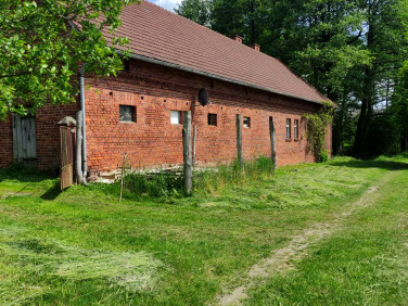 Działka rolna Osiecko