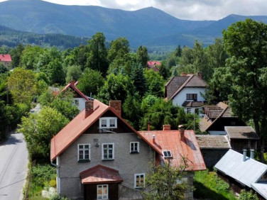 Dom Ściegny