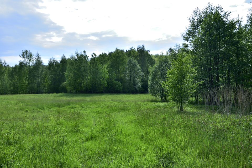 Zdjęcie 3