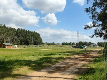 Działka Trzebiszewo