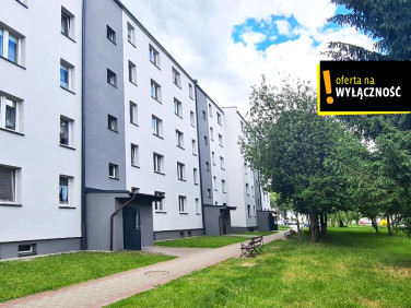 Mieszkanie Staszów