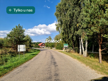 Działka leśna Krynickie