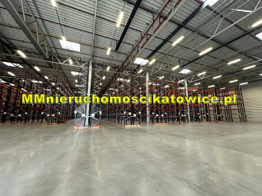 Budynek użytkowy Katowice
