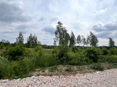 Działka budowlana Wieliszew