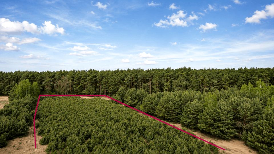 Działka budowlana Grabówiec