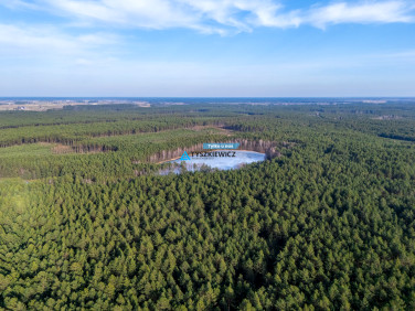 Działka leśna sprzedam