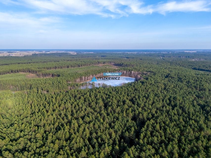 Działka leśna sprzedam