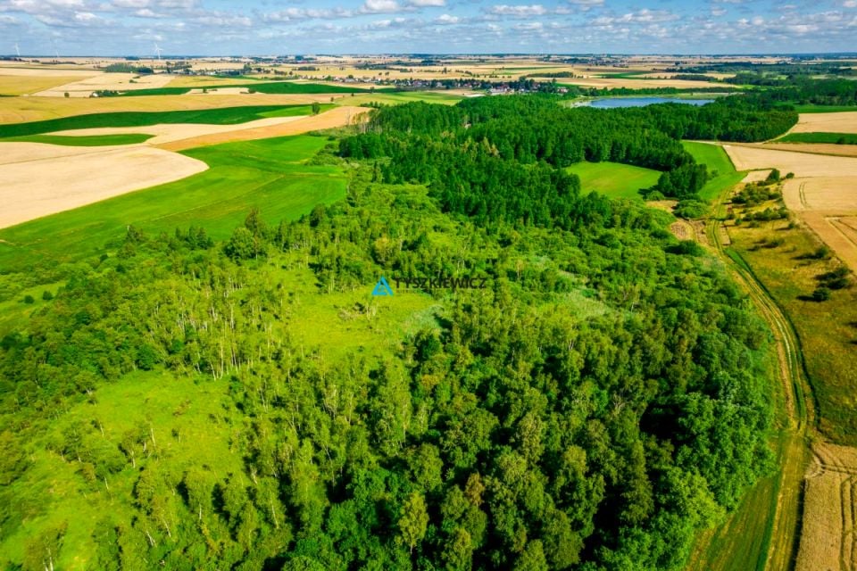 Działka rolna Ciechocin
