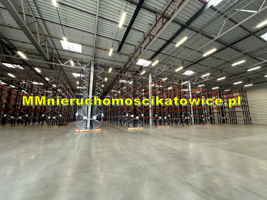 Budynek użytkowy Katowice