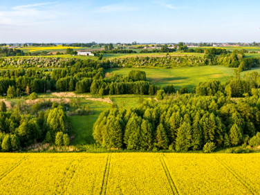Dom Węgiersk