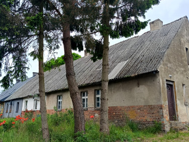Mieszkanie Dalewo