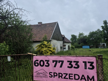 Dom Pniów