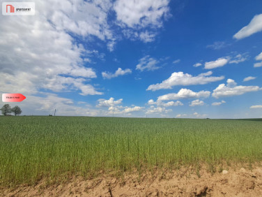 Działka Pinczyn