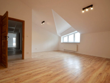 Lokal Opole