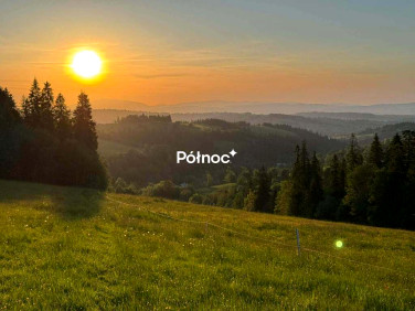 Działka rolna Gliczarów Dolny