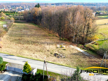 Działka Pisarzowice