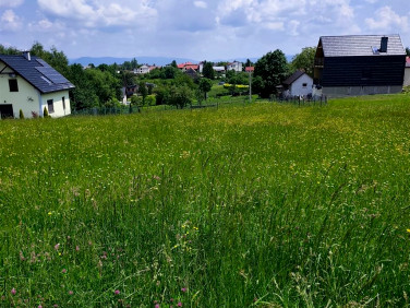 Pusta działka Lipowa