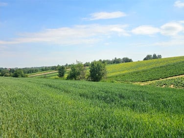 Działka budowlana cianowice duże