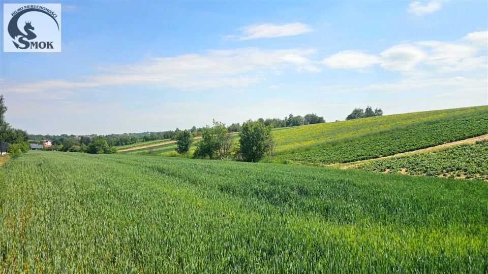 Działka budowlana cianowice duże