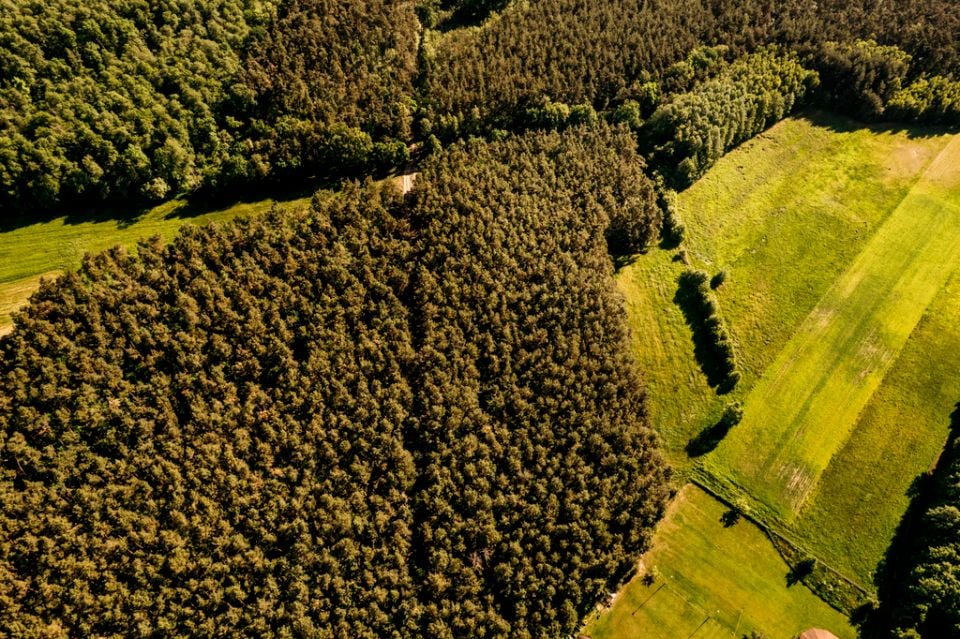 Działka leśna Ludwinów