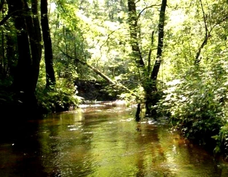 Działka budowlano-rolna Wełdkówko
