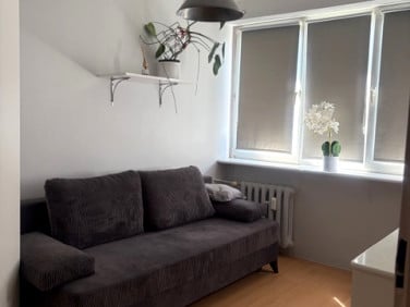 Mieszkanie Szczecin sprzedaż