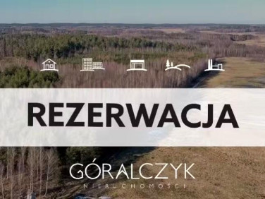Działka leśna sprzedam