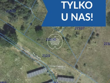Działka przy lesie