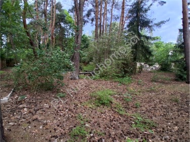 Działka budowlana Milanówek sprzedam