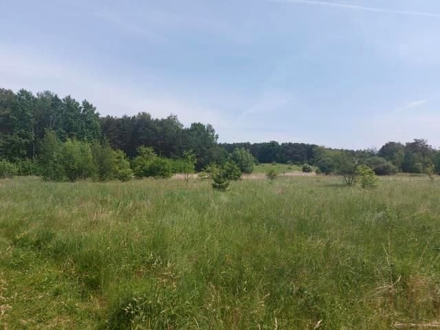 Działka rolna Runowo Sławieńskie