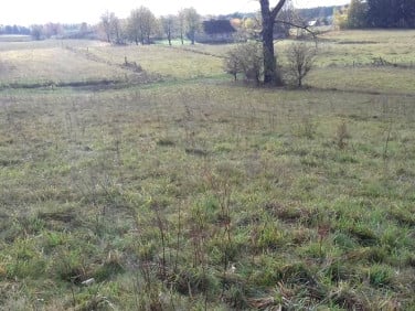 Działka siedliskowa sprzedam