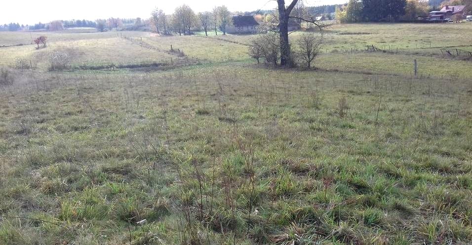 Działka siedliskowa sprzedam