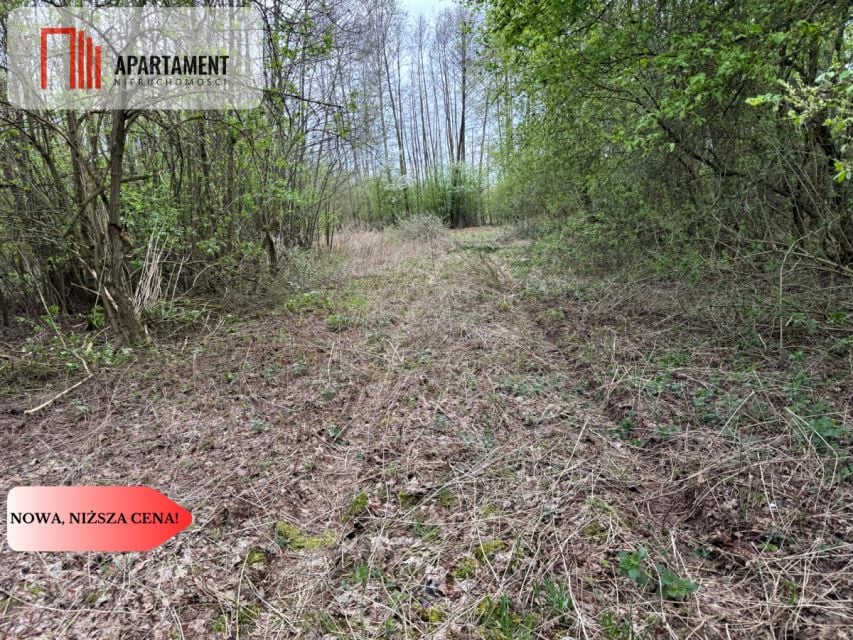 Działka Rybno Wielkie