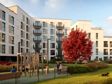 Bluszcz Apartamenty