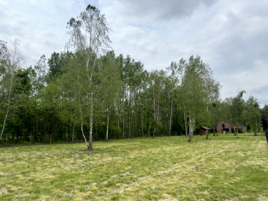 Działka budowlana Czarnów