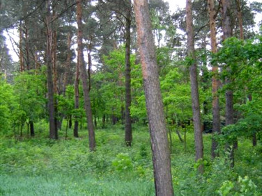 Działka budowlana Warszawa
