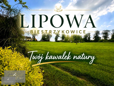 Dom Namysłów