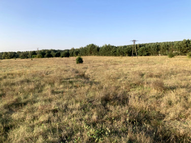 Działka Koczurki