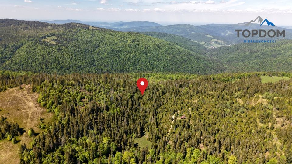 Działka rolno-leśna Ochotnica Górna