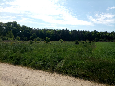 Działka rolna Sasino