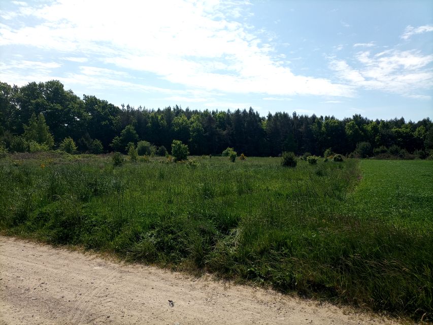 Działka rolna Sasino