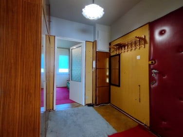 Mieszkanie Łódź sprzedaż