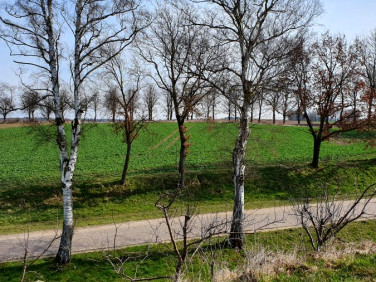 Działka budowlana Trzebiatów