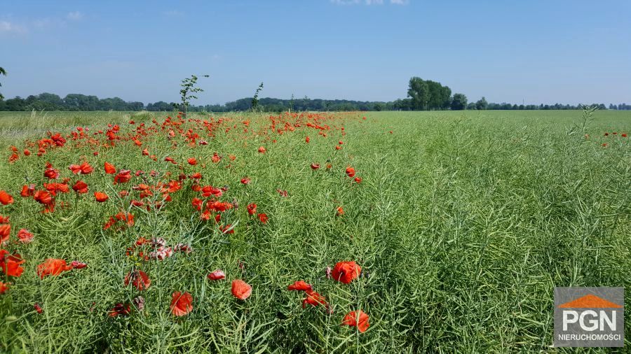 Działka budowlana Trzebiatów